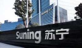 苏宁新闻爆料,揭秘行业最新动态，带你走进苏宁背后的故事