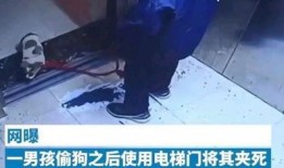 打电话的小男孩爆料视频,揭秘事件背后惊人真相